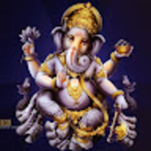 Meet your Posher, Dan